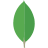 MongoDB icon