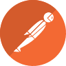 Postman icon
